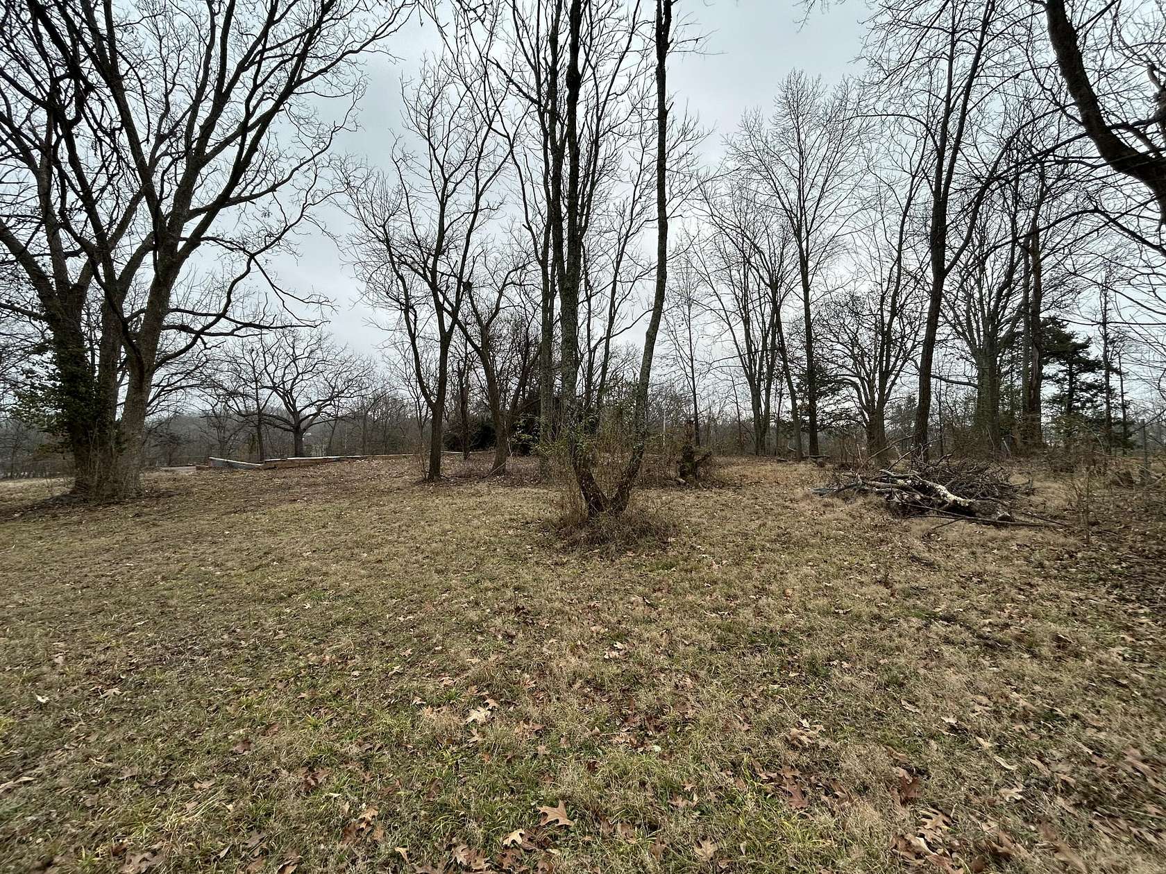 1 Acre of Residential Land for Sale in Willow Springs, Missouri