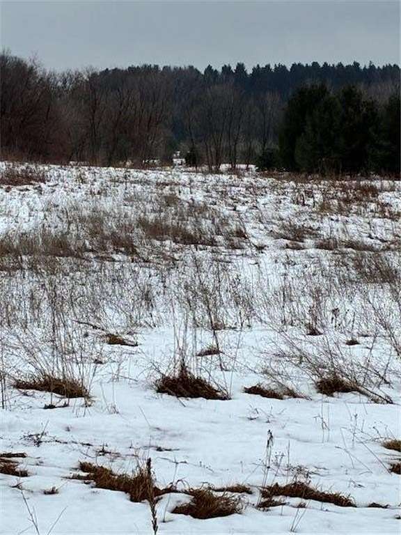 3.23 Acres of Residential Land for Sale in Somerset, Wisconsin