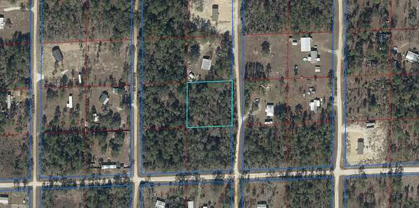 1 Acre of Land for Sale in Williston, Florida