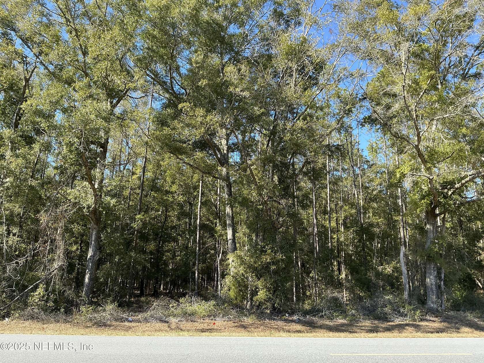 5 Acres of Residential Land for Sale in Bell, Florida