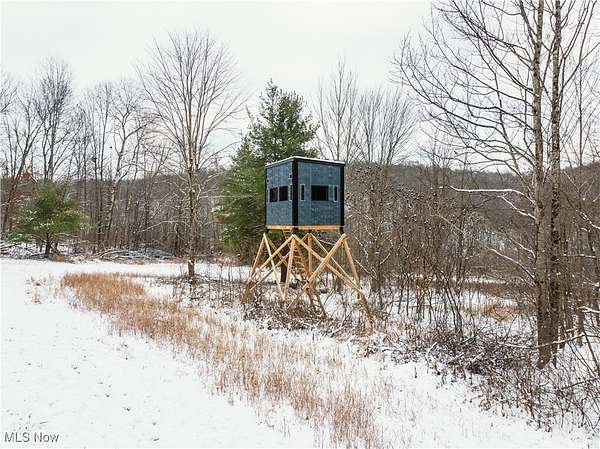 30.8 Acres of Recreational Land for Auction in Tippecanoe, Ohio