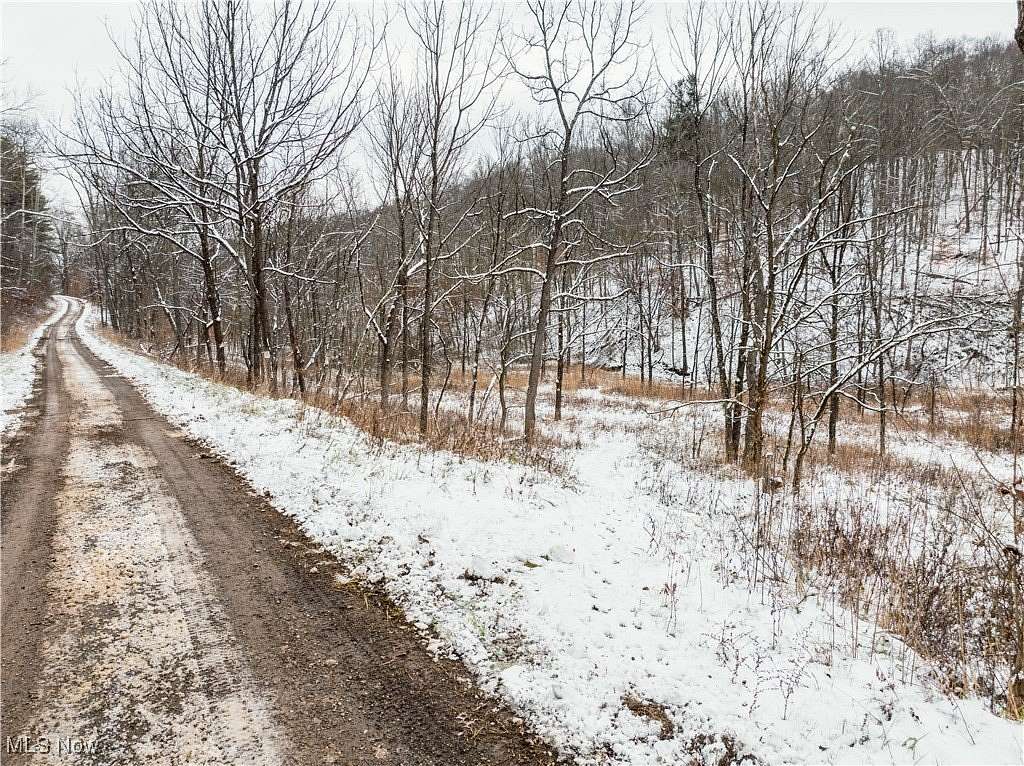 13.5 Acres of Recreational Land for Auction in Tippecanoe, Ohio