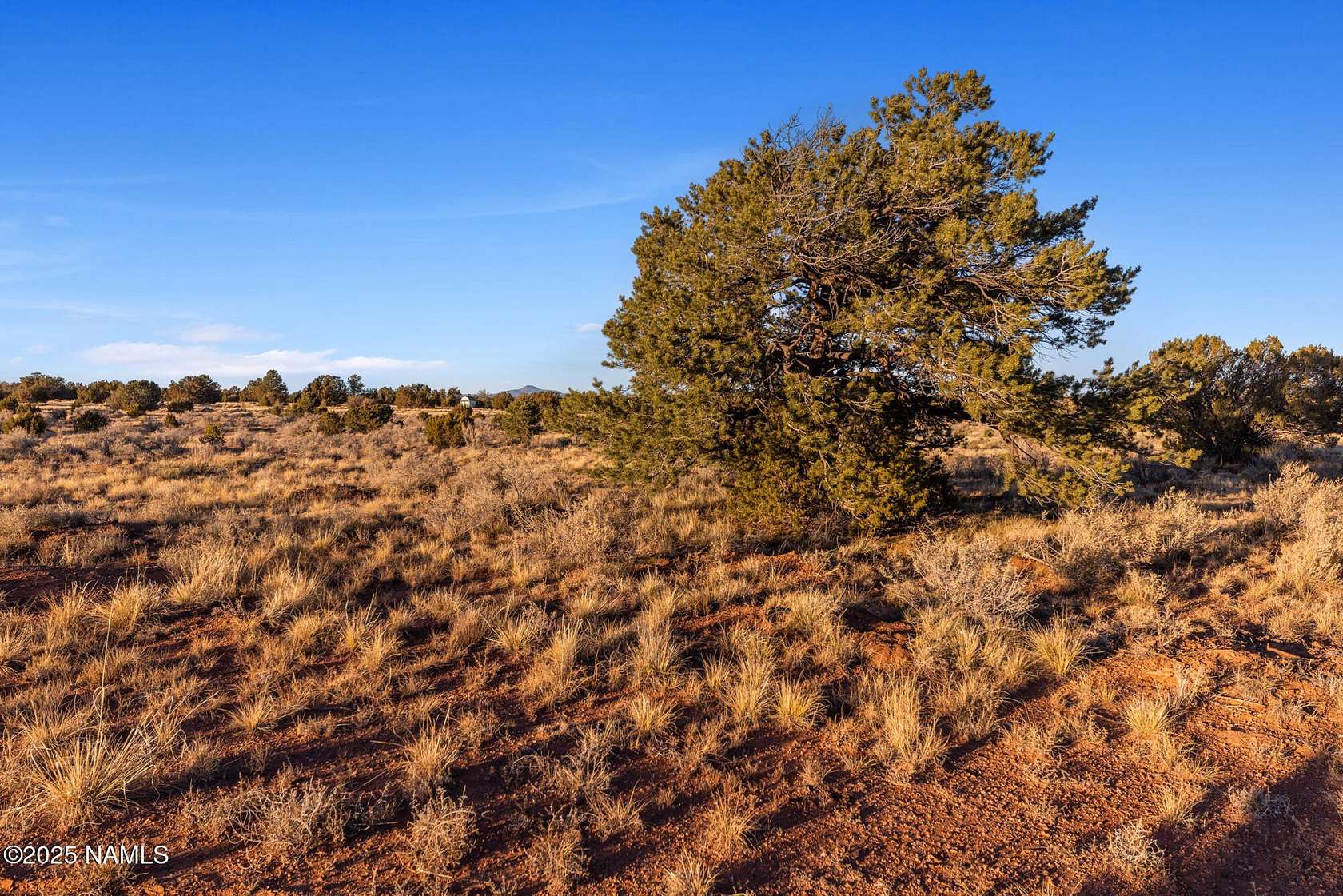 1 Acre of Land for Sale in Williams, Arizona