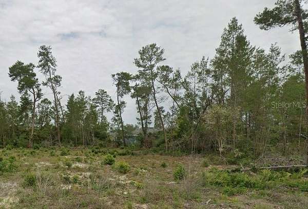 0.23 Acres of Residential Land for Sale in Ocala, Florida