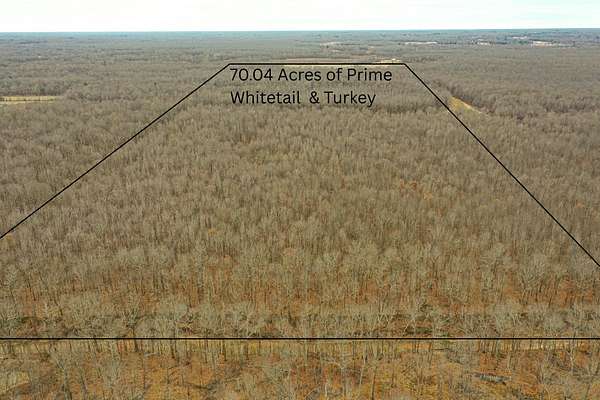 70 Acres of Recreational Land for Sale in Paducah, Kentucky