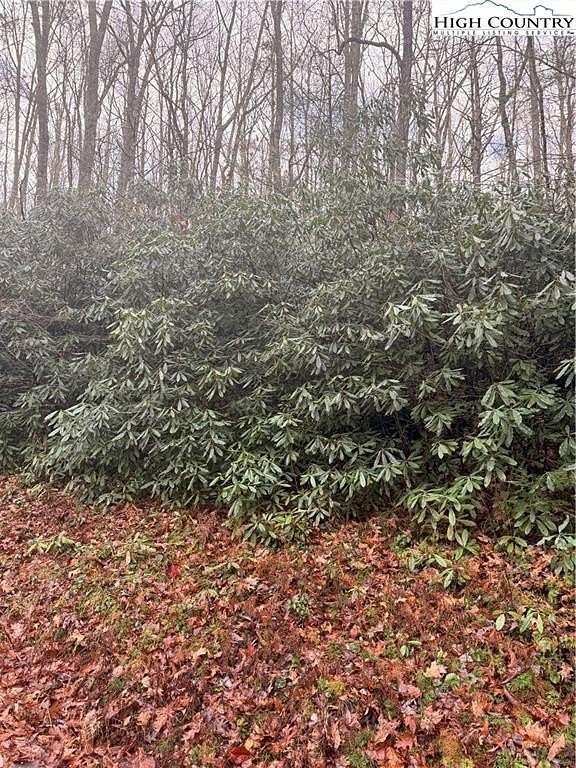 0.32 Acres of Land for Sale in Beech Mountain, North Carolina