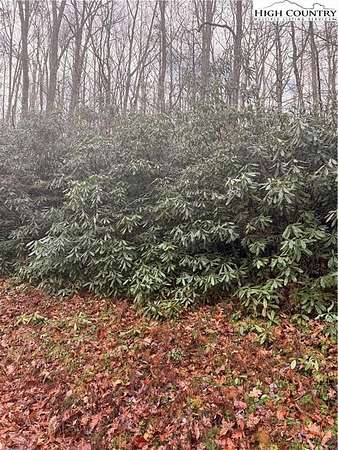 0.32 Acres of Land for Sale in Beech Mountain, North Carolina