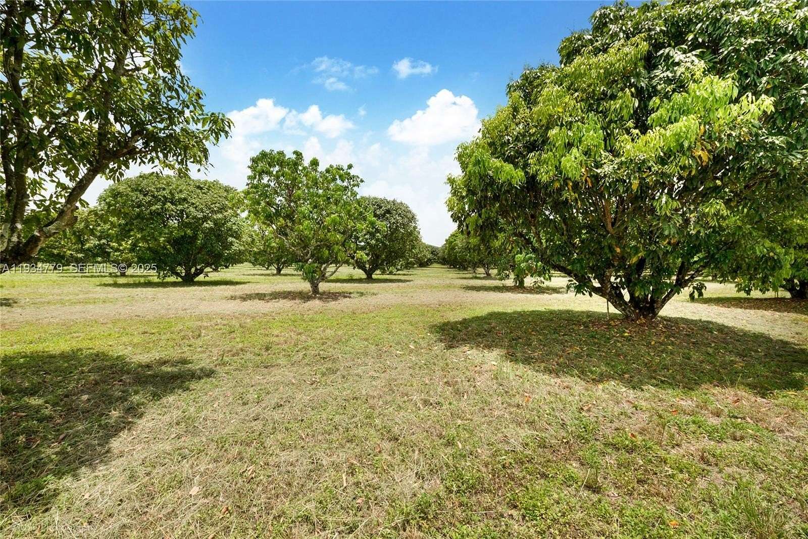 5 Acres of Residential Land for Sale in Miami, Florida