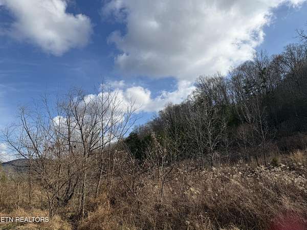 90.2 Acres of Recreational Land for Sale in Winfield, Tennessee