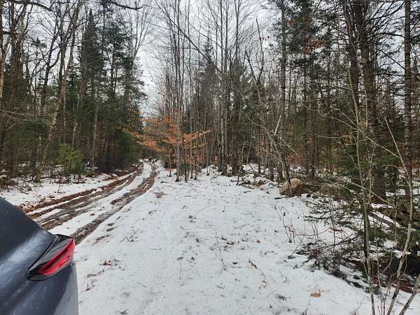 16 Acres of Recreational Land for Sale in Buckfield, Maine