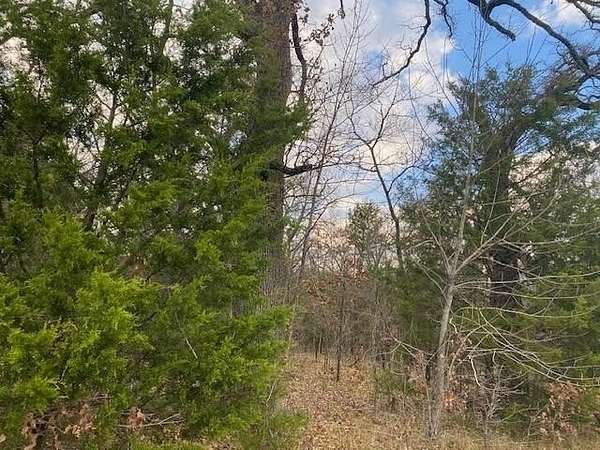 27.4 Acres of Recreational Land for Sale in Malakoff, Texas