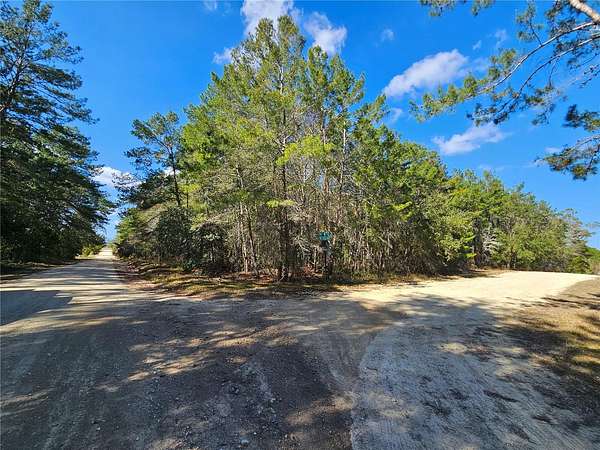 2.5 Acres of Residential Land for Sale in Williston, Florida