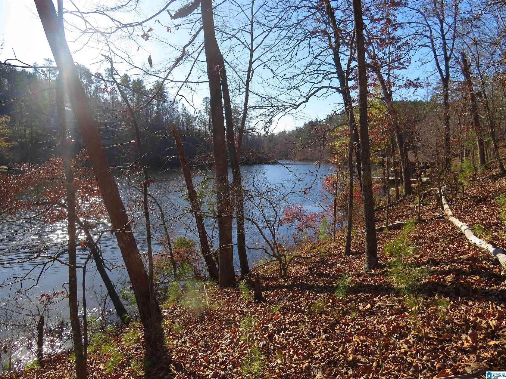 0.77 Acres of Residential Land for Sale in Rockford, Alabama