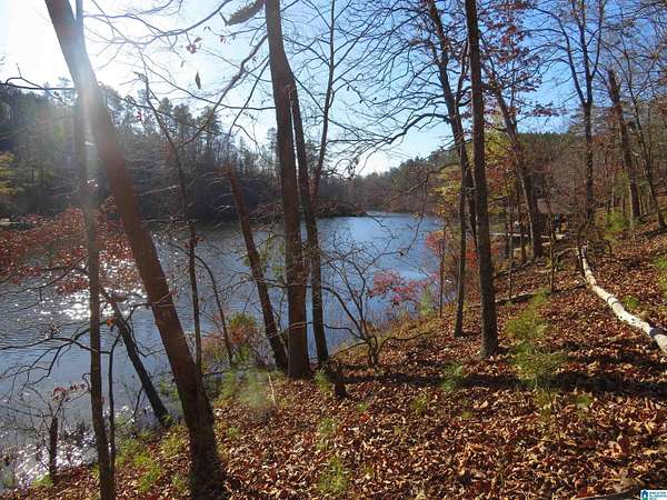 0.77 Acres of Residential Land for Sale in Rockford, Alabama