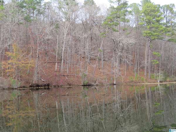 0.77 Acres of Residential Land for Sale in Rockford, Alabama