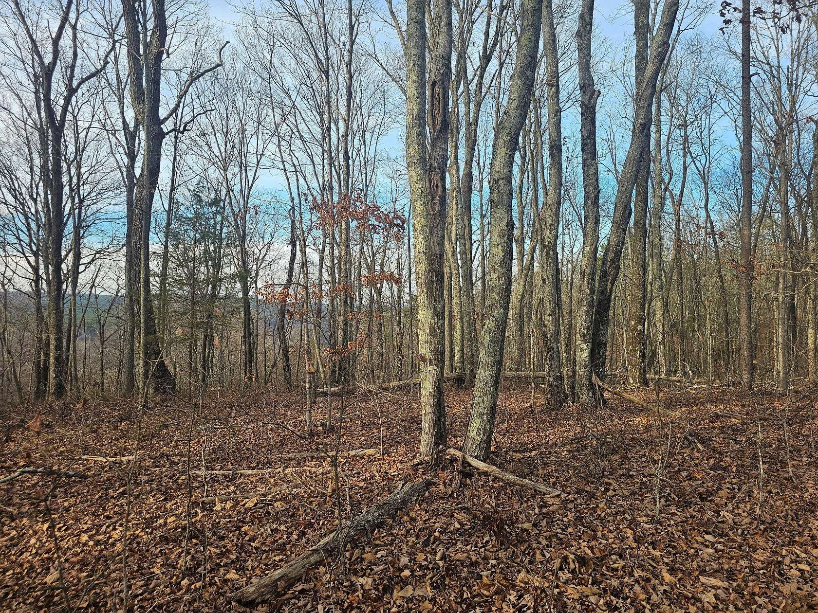 265 Acres of Recreational Land for Sale in Dunlap, Tennessee