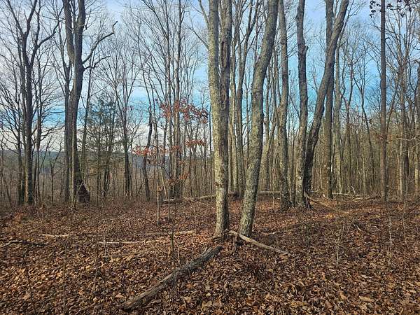 265 Acres of Recreational Land for Sale in Dunlap, Tennessee