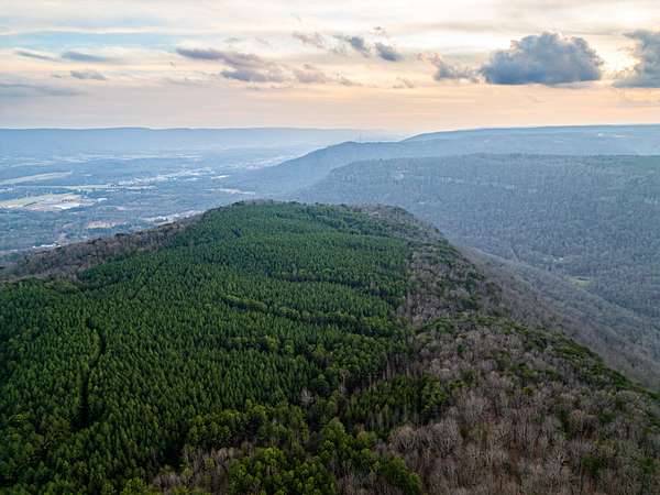 265 Acres of Recreational Land for Sale in Dunlap, Tennessee