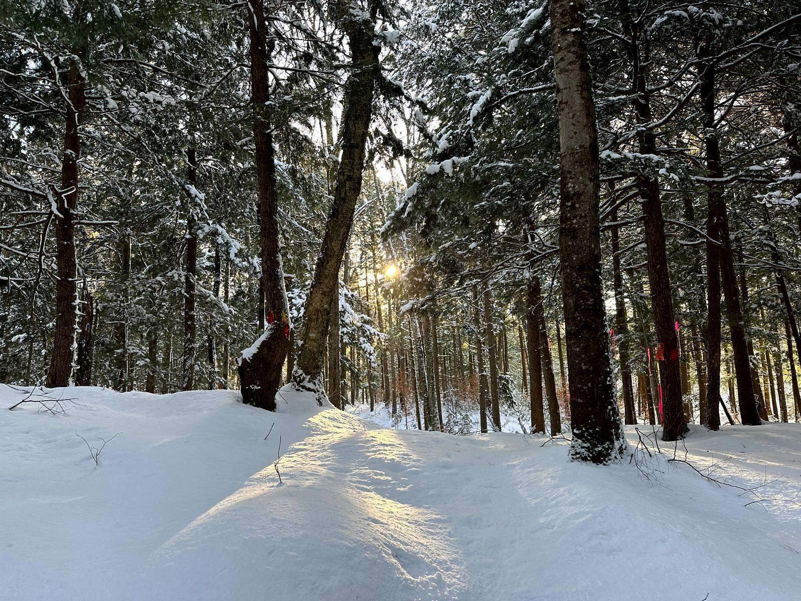 6.77 Acres of Land for Sale in Camden Town, New York