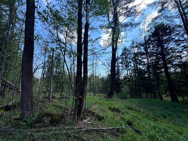 6.77 Acres of Land for Sale in Camden Town, New York