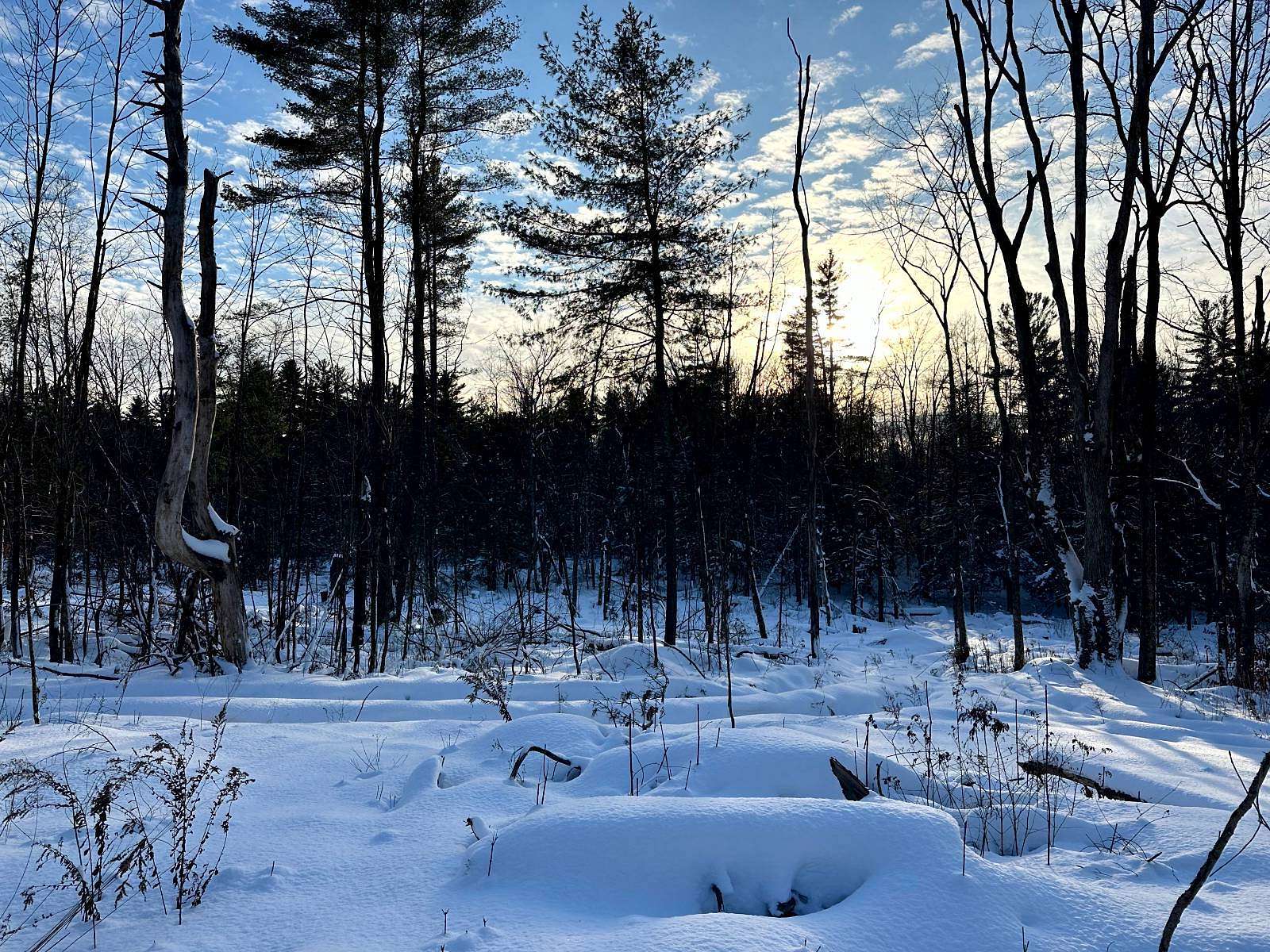 5 Acres of Land for Sale in Camden Town, New York