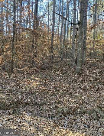 0.8 Acres of Land for Sale in Lavonia, Georgia