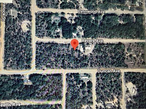 0.23 Acres of Land for Sale in Interlachen, Florida