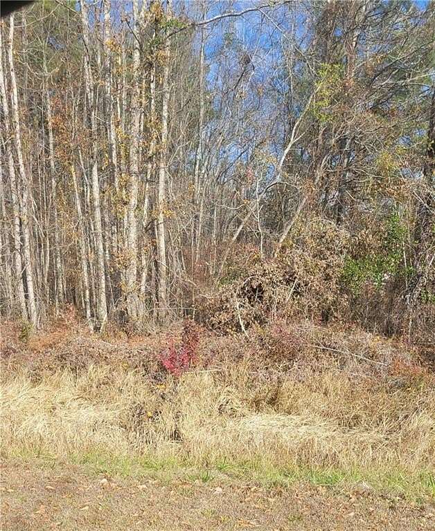 12.7 Acres of Land for Sale in Tuskegee, Alabama