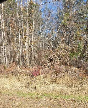 12.7 Acres of Land for Sale in Tuskegee, Alabama