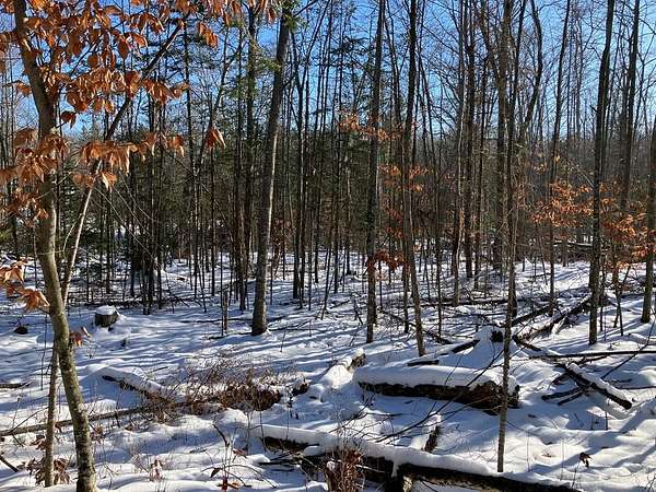 0.94 Acres of Land for Sale in Ellison Bay, Wisconsin