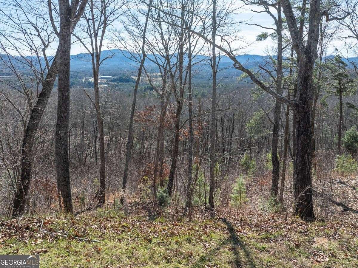 1 Acre of Residential Land for Sale in Blairsville, Georgia