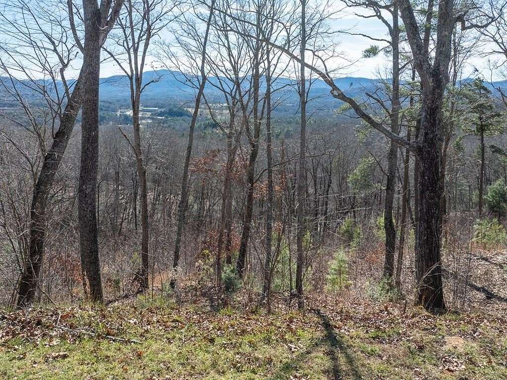 1 Acre of Residential Land for Sale in Blairsville, Georgia