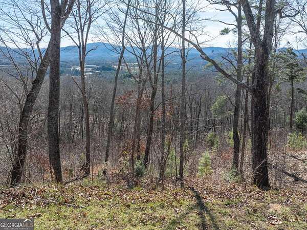 1 Acre of Residential Land for Sale in Blairsville, Georgia