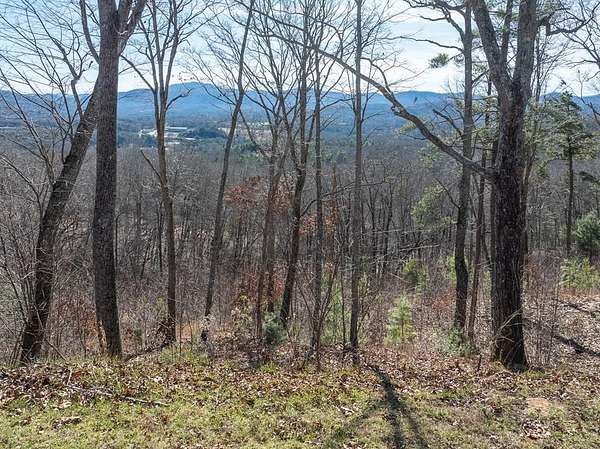 1 Acre of Residential Land for Sale in Blairsville, Georgia