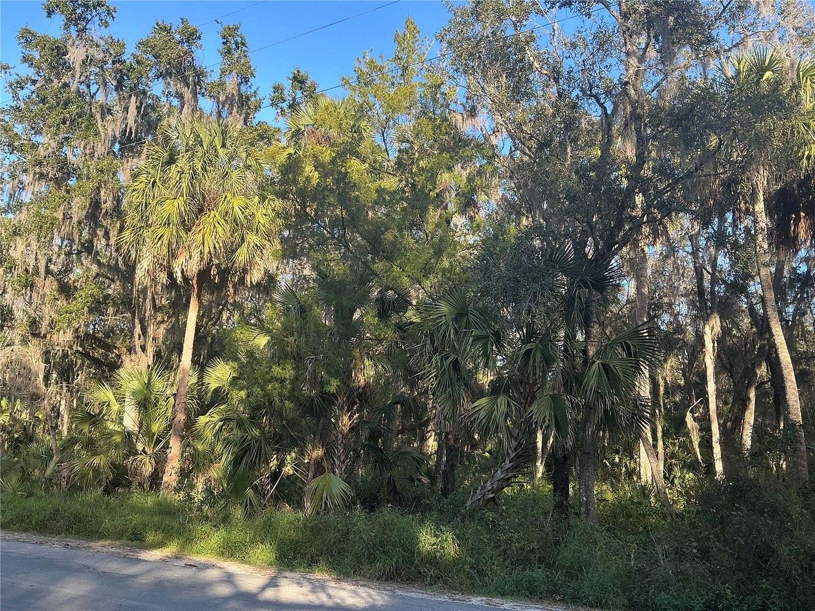 20 Acres of Land for Sale in Leesburg, Florida