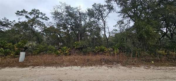 1.25 Acres of Land for Sale in Dunnellon, Florida