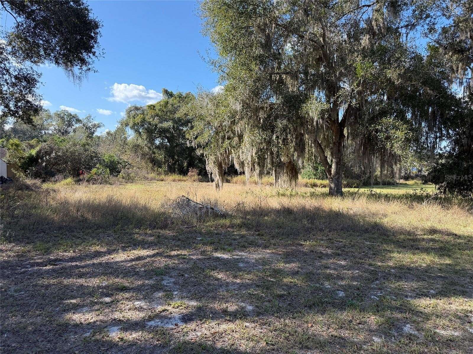 0.71 Acres of Residential Land for Sale in Mascotte, Florida