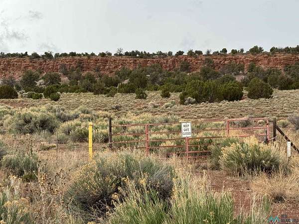 5 Acres of Residential Land for Sale in Vanderwagen, New Mexico