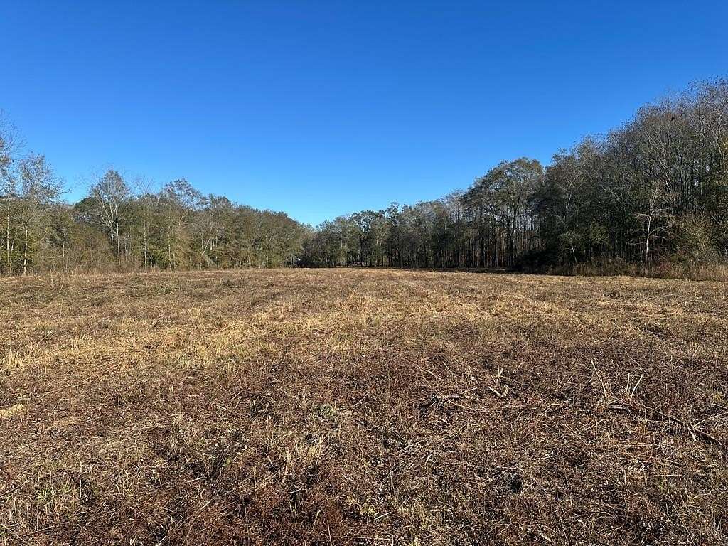 6.43 Acres of Residential Land for Sale in Slocomb, Alabama