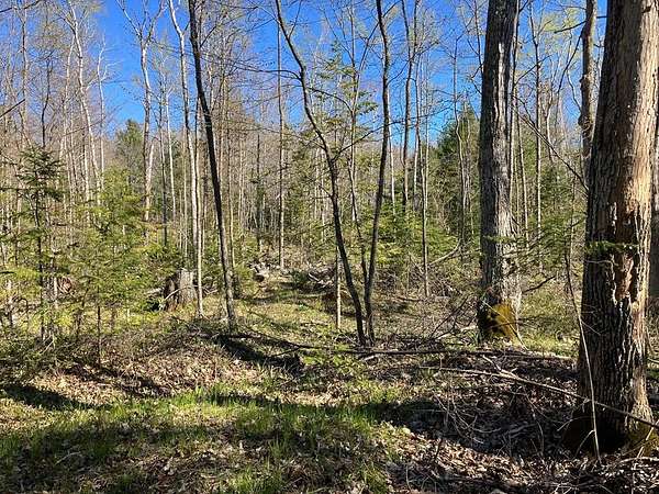 3.5 Acres of Land for Sale in Ellison Bay, Wisconsin