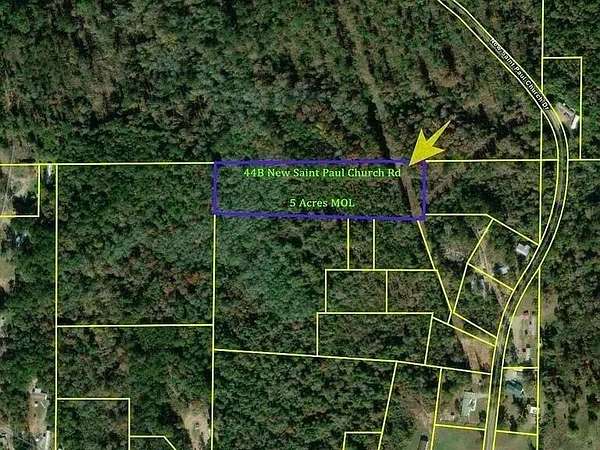Residential Land for Sale in Waynesboro, Mississippi