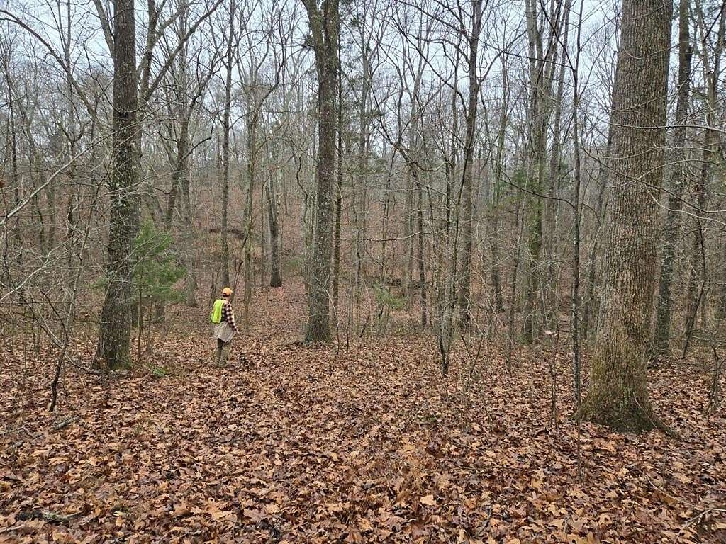 35 Acres of Recreational Land for Sale in Buchanan, Tennessee