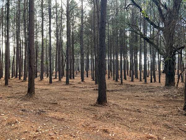 3.1 Acres of Land for Sale in Ozark, Arkansas