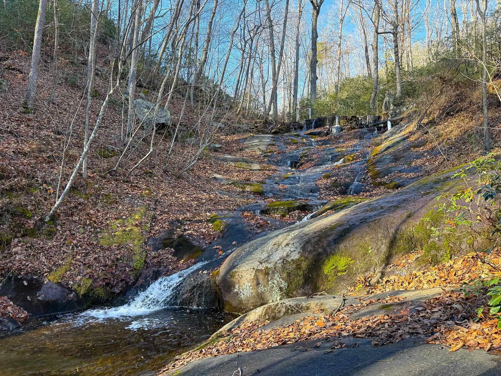 473 Acres of Land for Sale in Schuyler, Virginia