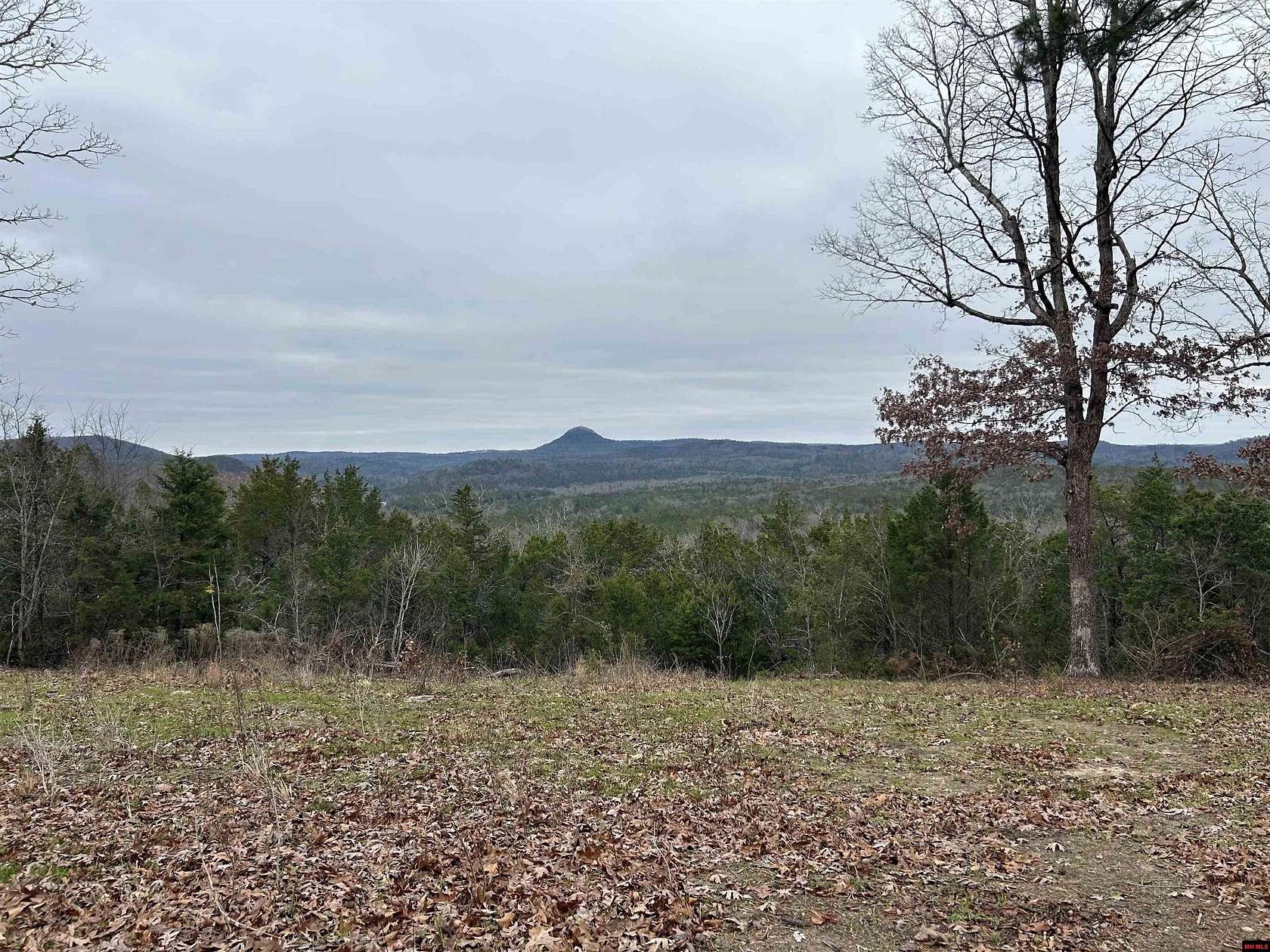 56 Acres of Recreational Land for Sale in Melbourne, Arkansas