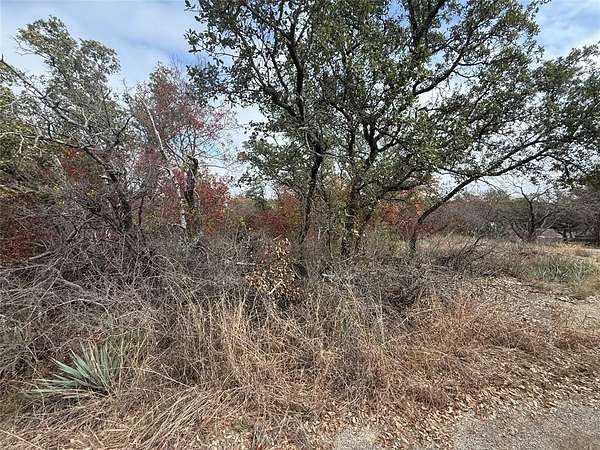 0.32 Acres of Land for Sale in Brownwood, Texas