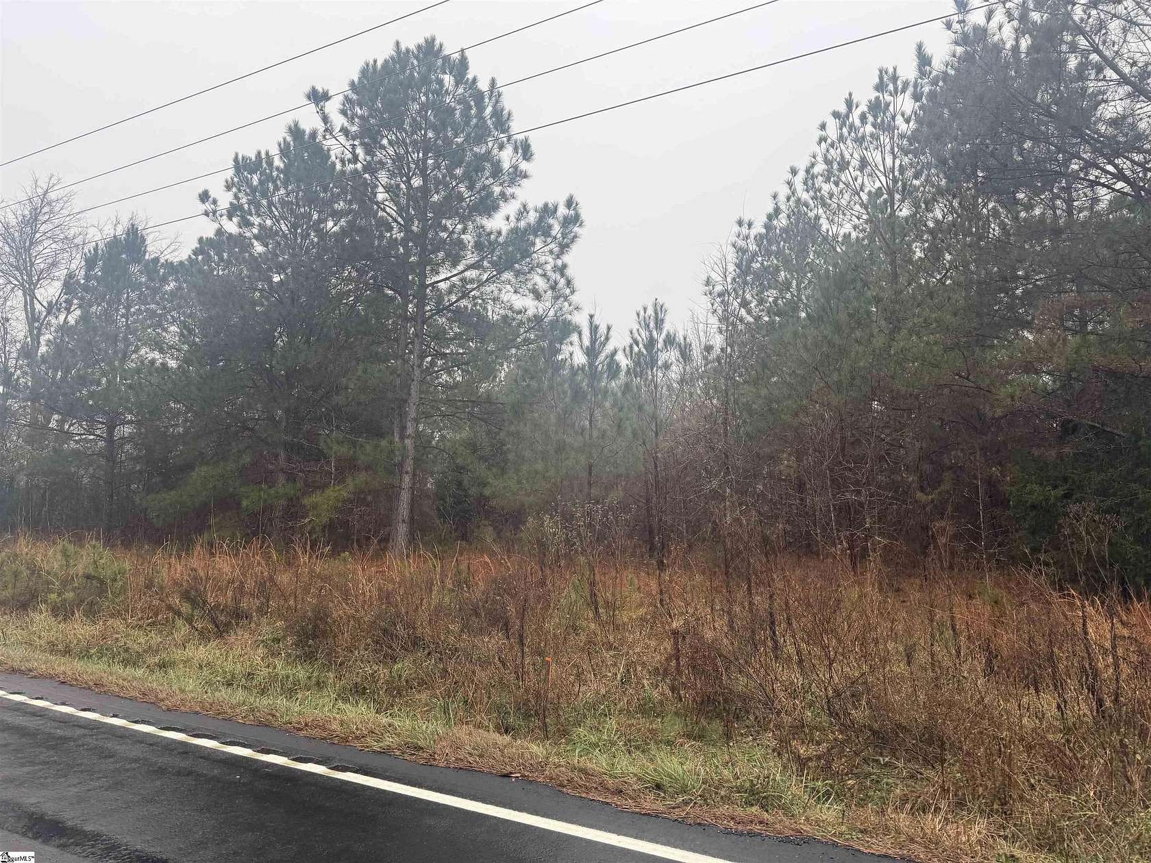 2 Acres of Residential Land for Sale in Waterloo, South Carolina