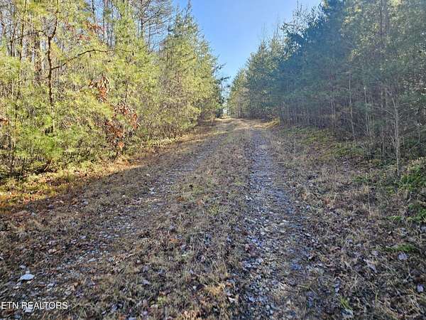 81.1 Acres of Recreational Land for Sale in Lancing, Tennessee
