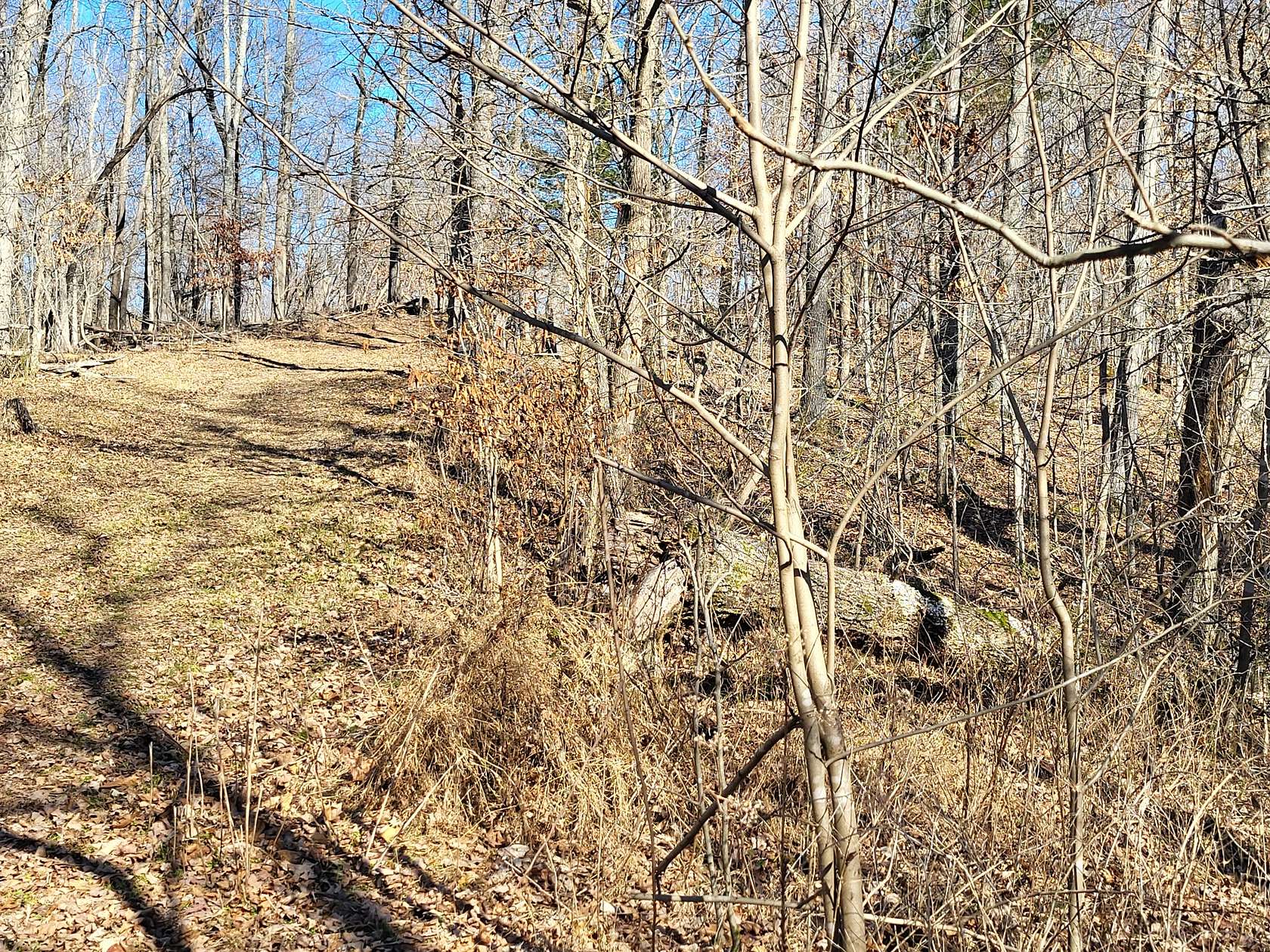 0.36 Acres of Residential Land for Sale in Holladay, Tennessee