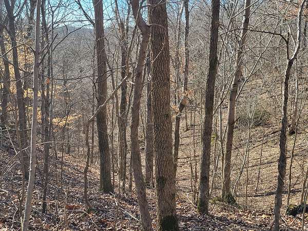 0.36 Acres of Residential Land for Sale in Holladay, Tennessee